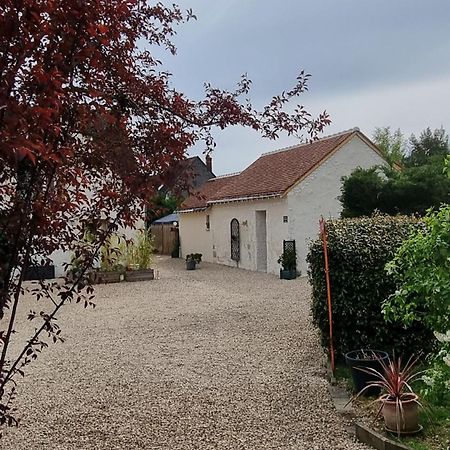 Les Gites Mina Mosnes Exterior foto